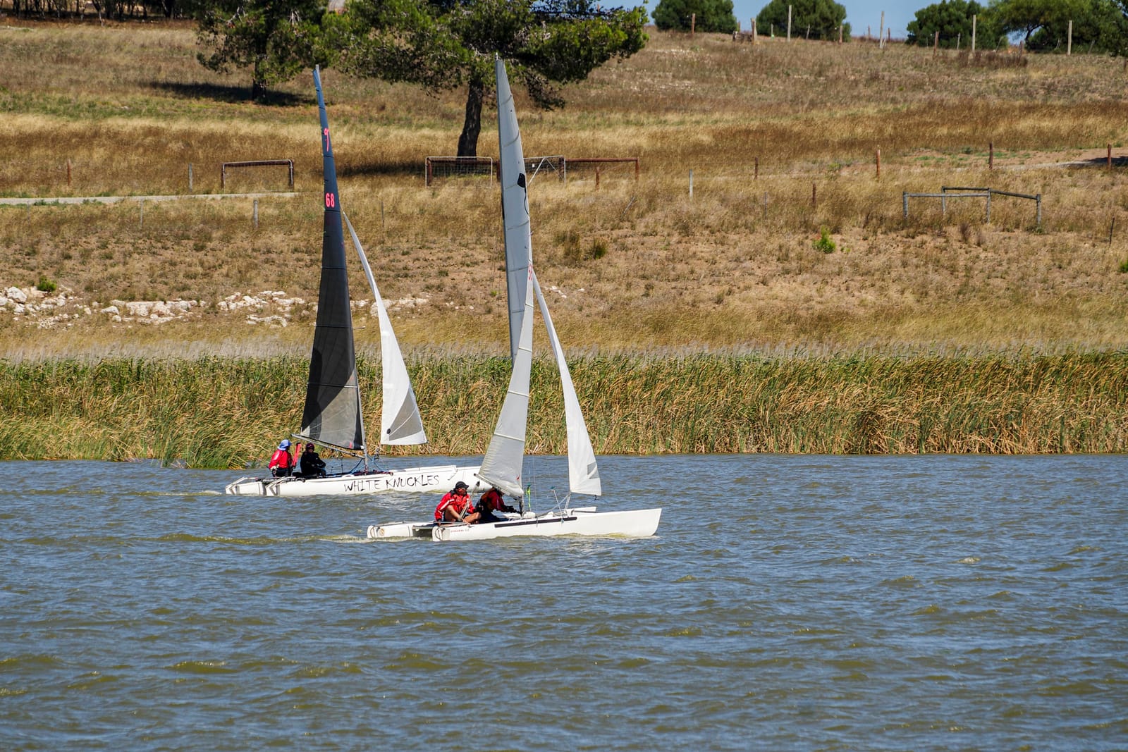 Challenging conditions for regatta weekend post image