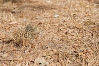 Be prepared as fire danger season approaches post image