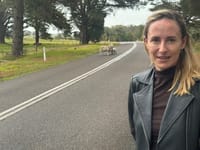 Virtual fencing no closer for SA farmers? post image