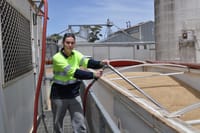 Harvest in full swing post image