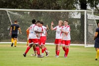 Strikers take aim at top half finish post image