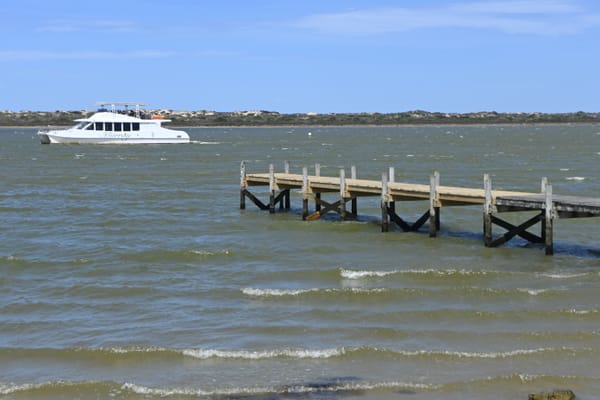 Hindmarsh Island jetties reopen post image