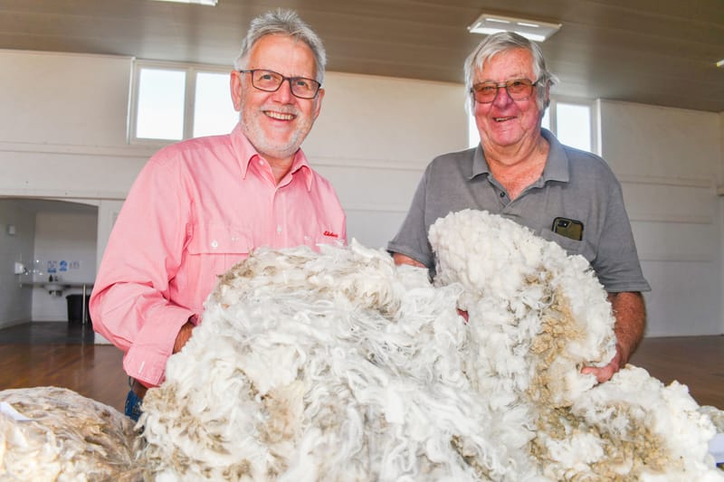 GOLDEN FLEECE: Fleurieu farmers support war widows post image