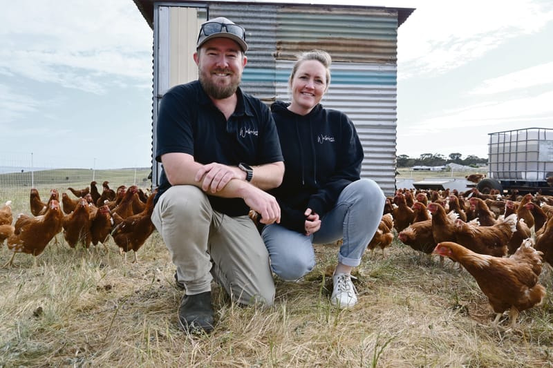 Callington farm follows sustainable practices post image
