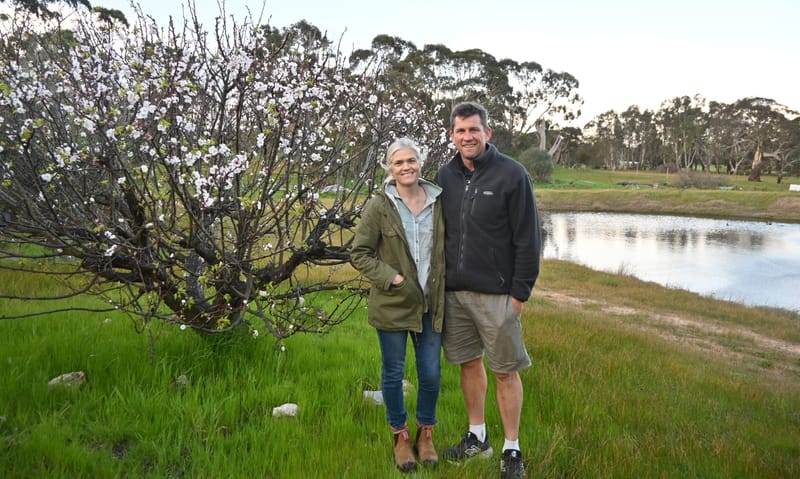 Seed and Leaf’s homesteading dream post image