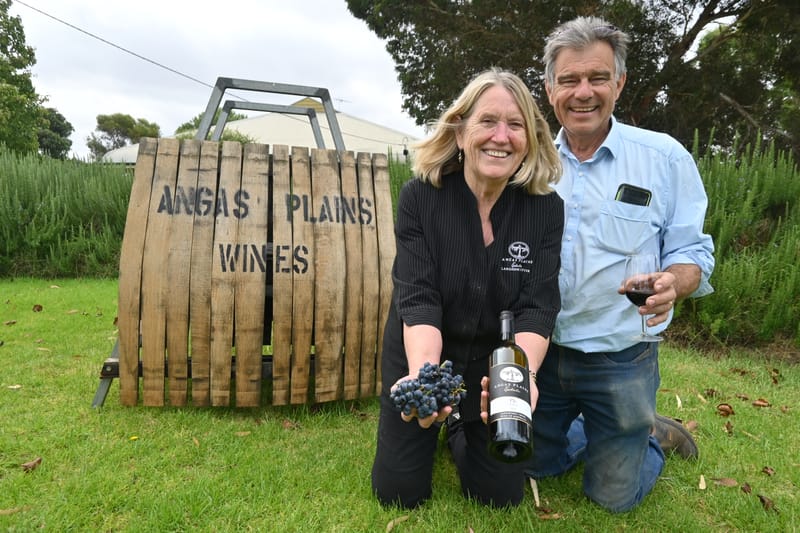 Get the grape juices flowing post image