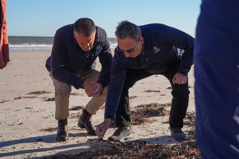 Funding for algal bloom at last post image