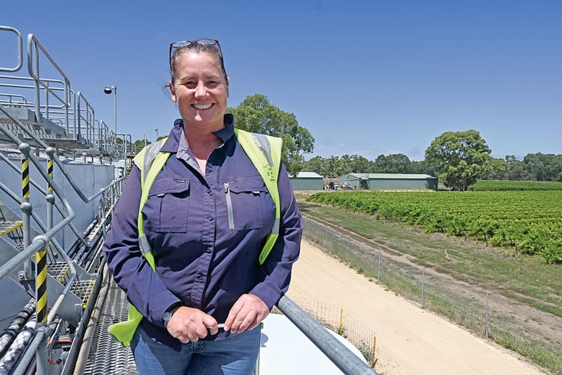 Local winery hoping for ‘a hat trick’ post image