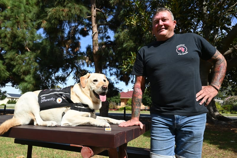 Regiment receives honour for Somalia service post image