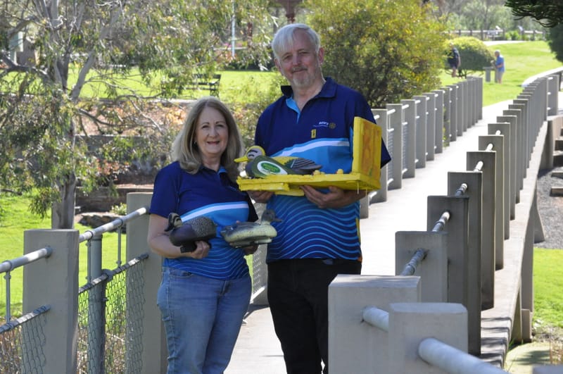 Calling all corporate ducks for November race post image