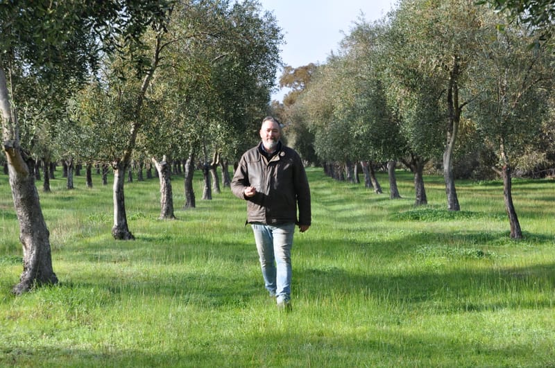 A future for olives at Peninsula Providore post image