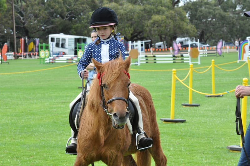 Macclesfield Horse Show notches up another win post image