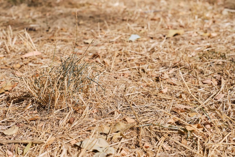 Be prepared as fire danger season approaches post image