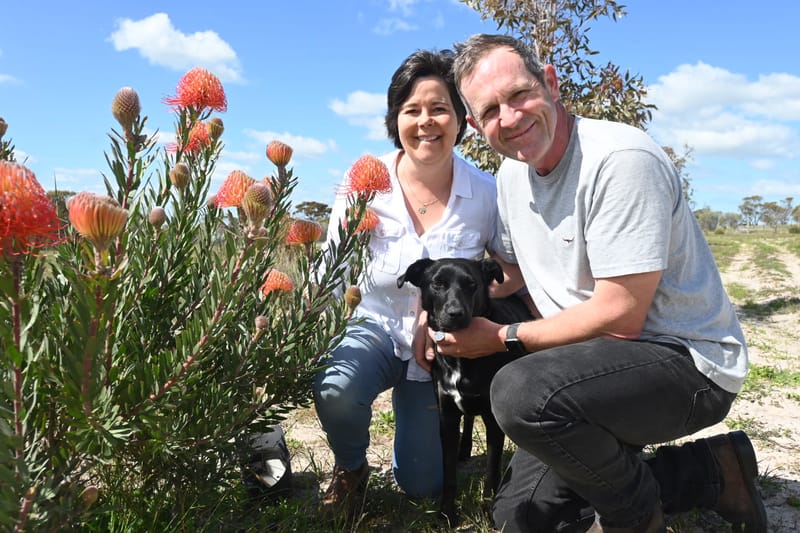 Welcoming the start of spring post image