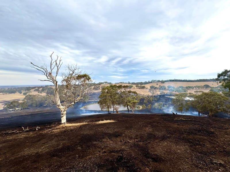 Paris Creek ravaged by fire post image