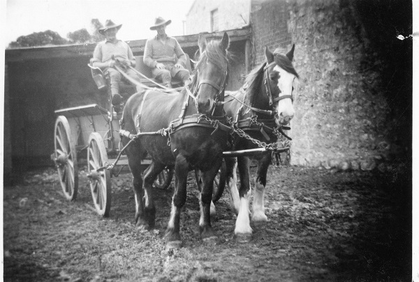 Celebrating History Month: Life in Strathalbyn through the years post image