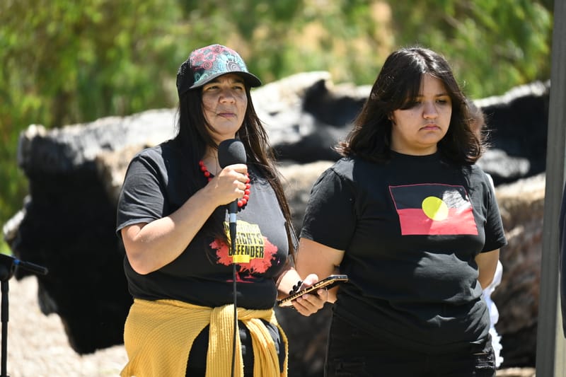 South Australian Voice candidates declared post image