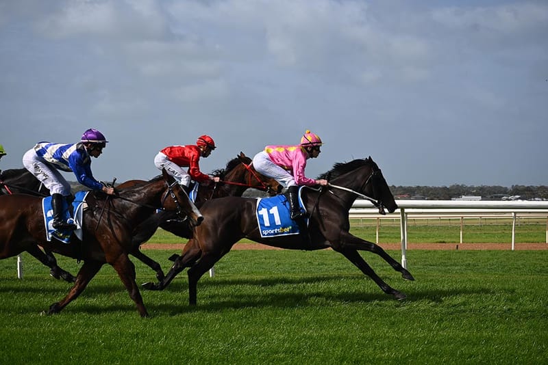 Field of fortune for Strathalbyn race-goers in season opener post image