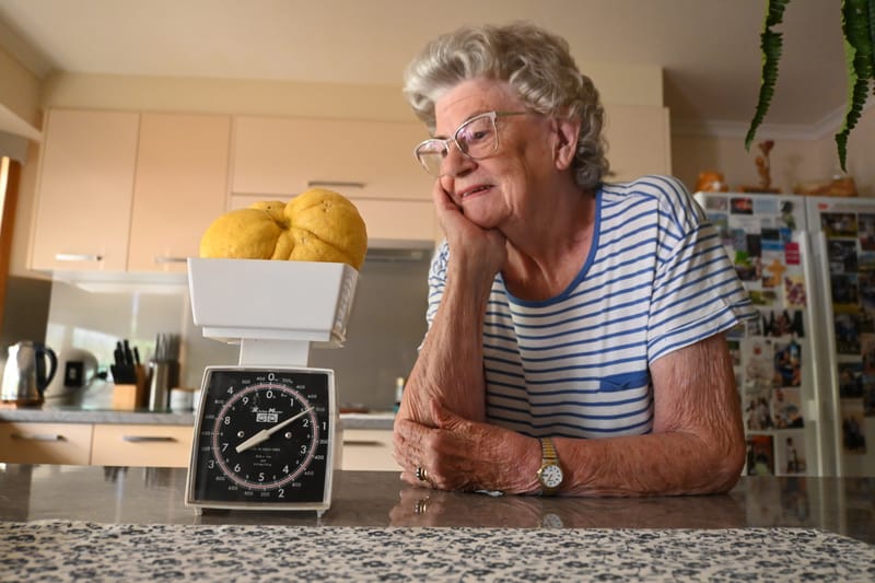 Is this Strathalbyn’s biggest lemon? post image