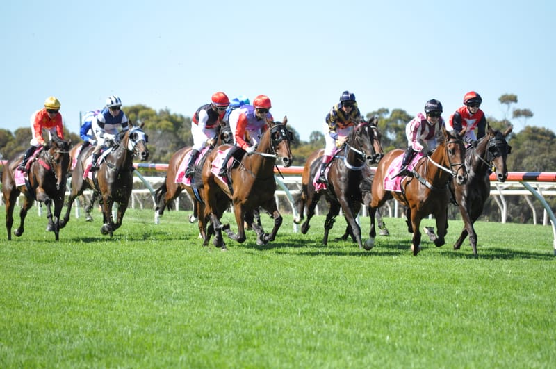 Strathalbyn Cup makes successful return post image