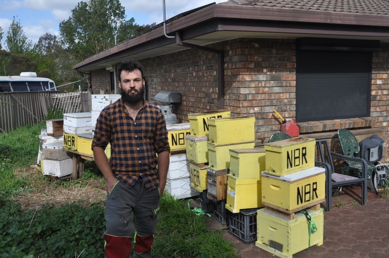 Hectic bee season ahead post image