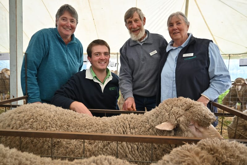 Wooly good rams walk out the door post image