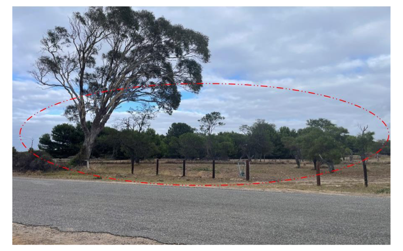 Telecommunications facility denied post image