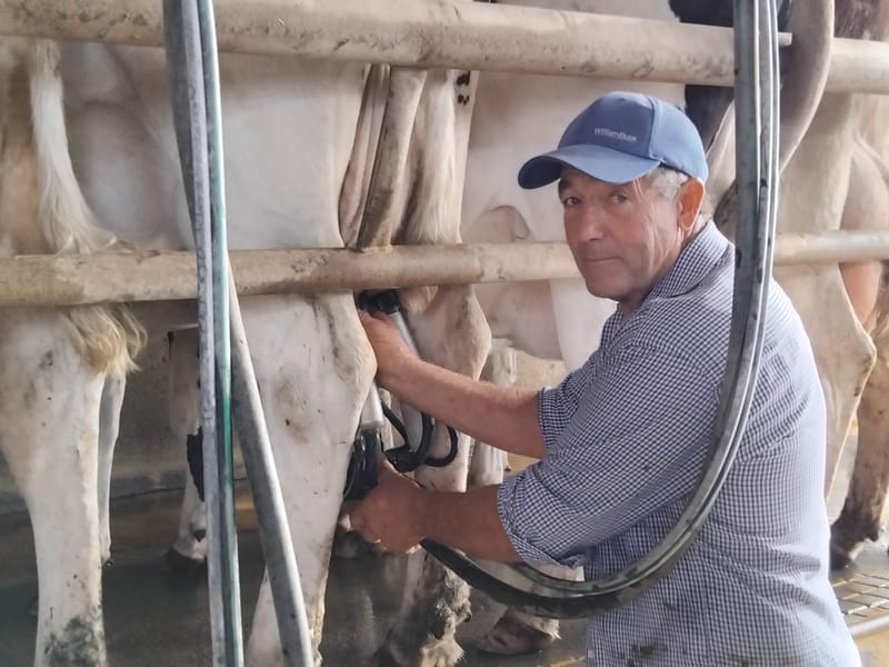 Beston Global Food Company collapse hits home post image