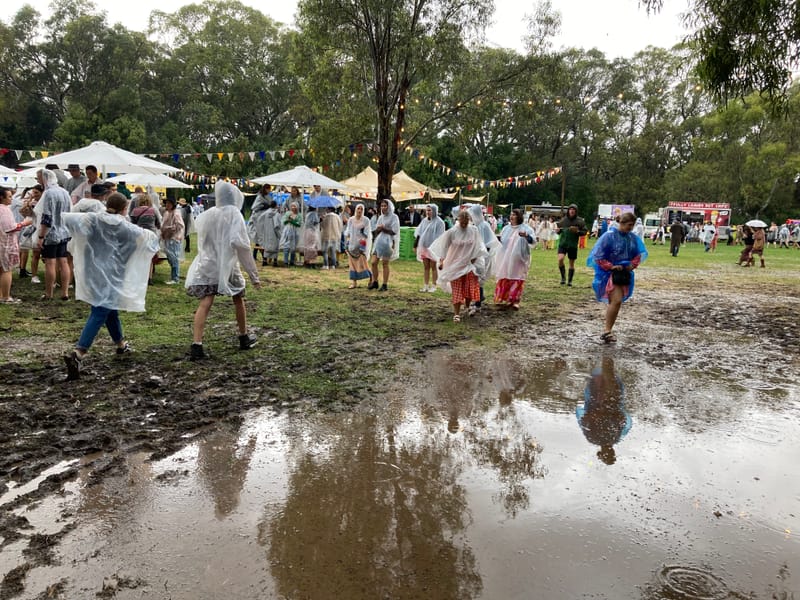 Langhorne Creek Handpicked Festival washed out post image