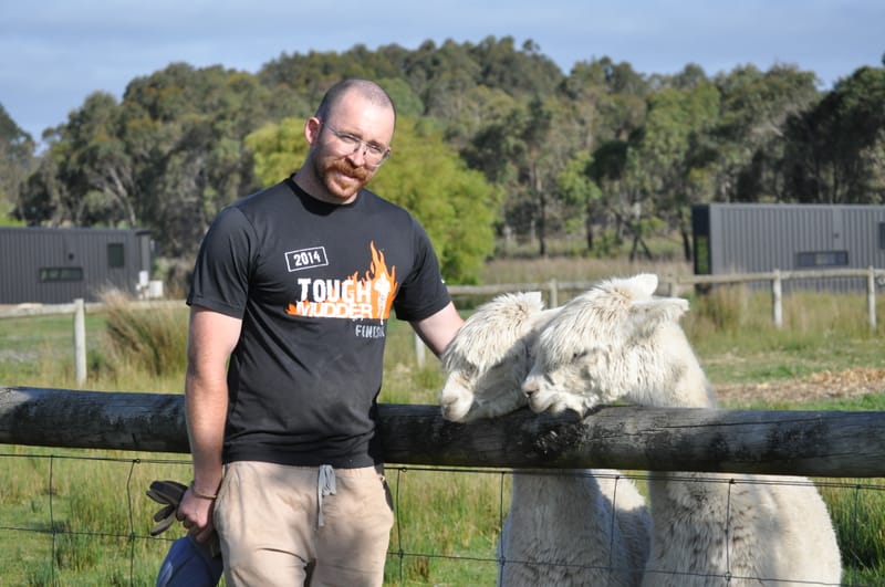 Alpacas make ‘great friends’ for local farmer post image