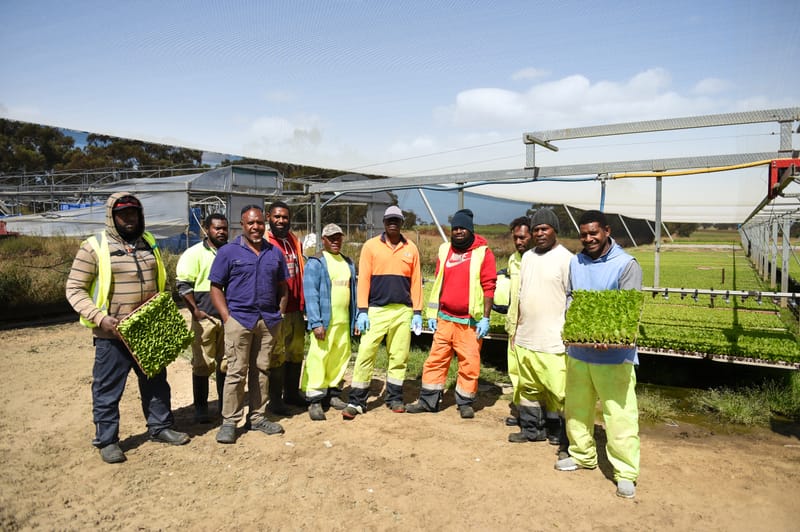 Pacific Islander workers flock to region post image