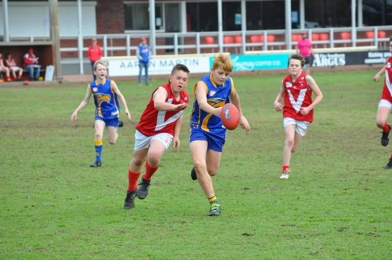 Junior footy carnival a hit with kids post image