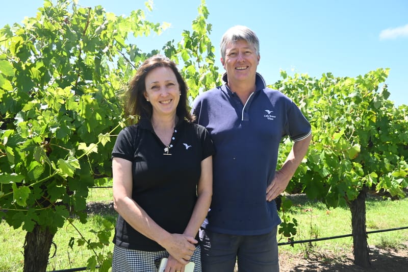 Langhorne Creek grape growers hopeful for good vintage season post image