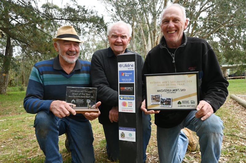 Macclesfield Shed ‘nails’ it post image