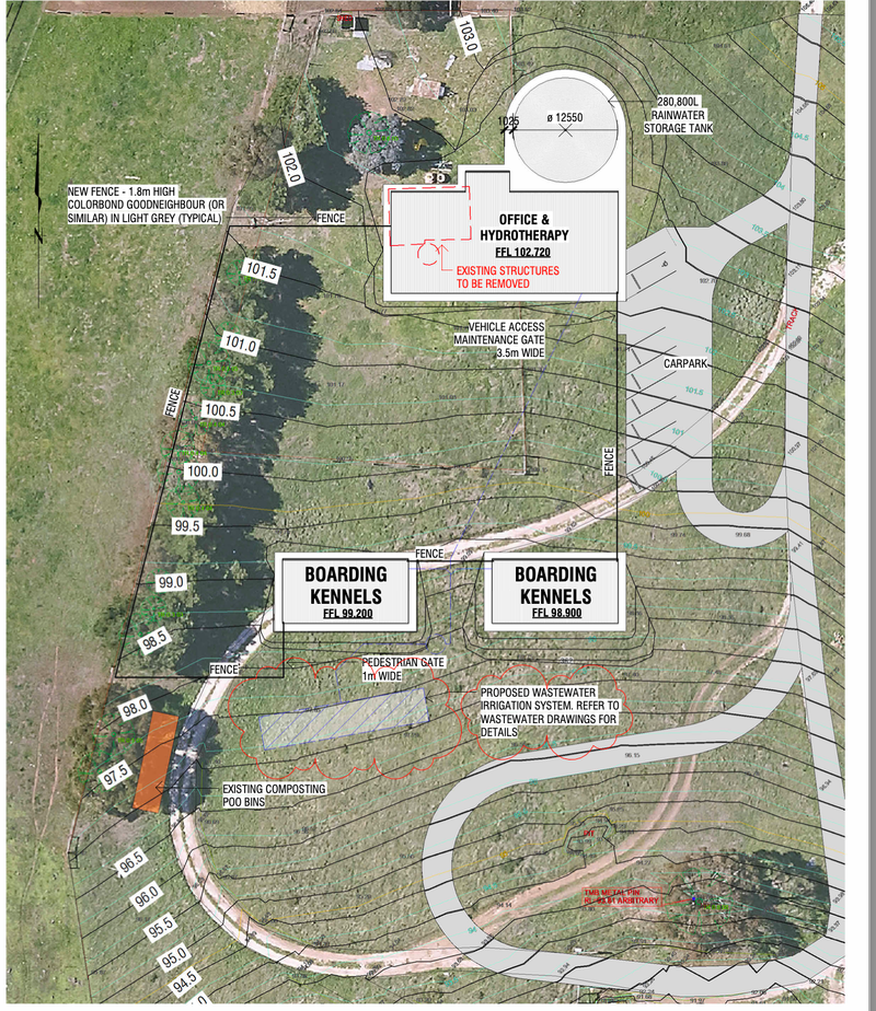 Dog daycare’s major expansion plans post image