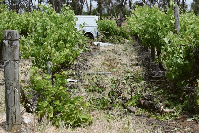 Van crashes into Langhorne Creek vineyard post image