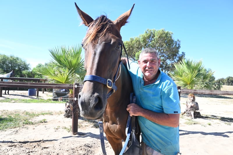 Local horse comes second post image