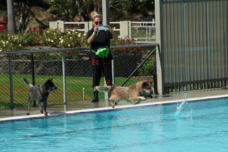 Strathalbyn pool pawty an absolute ball! post image