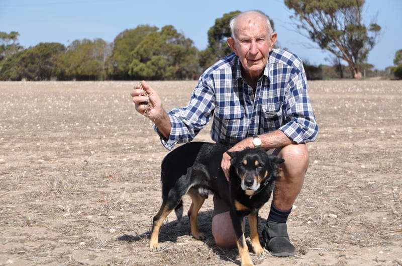DROUGHT DREAD: Countdown to breaking rain post image