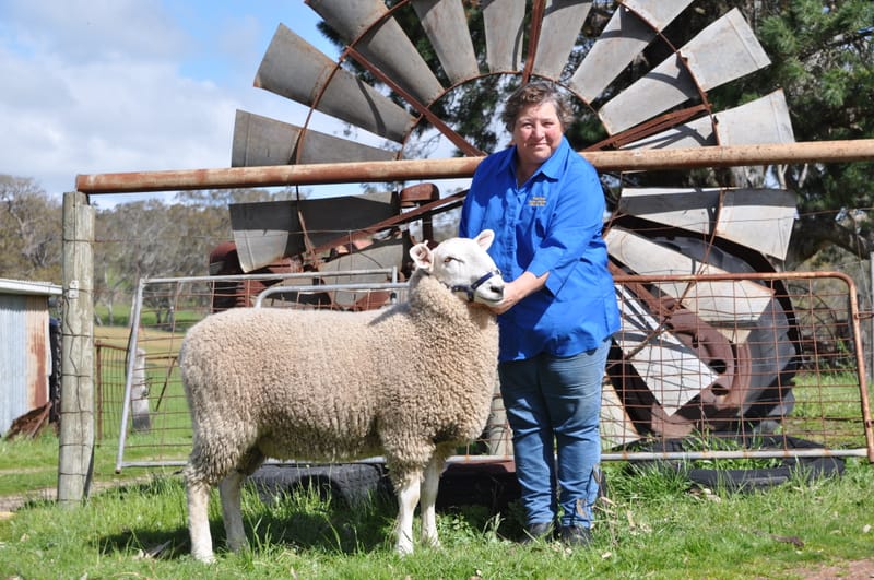 Making a difference at the Strathalbyn Show post image