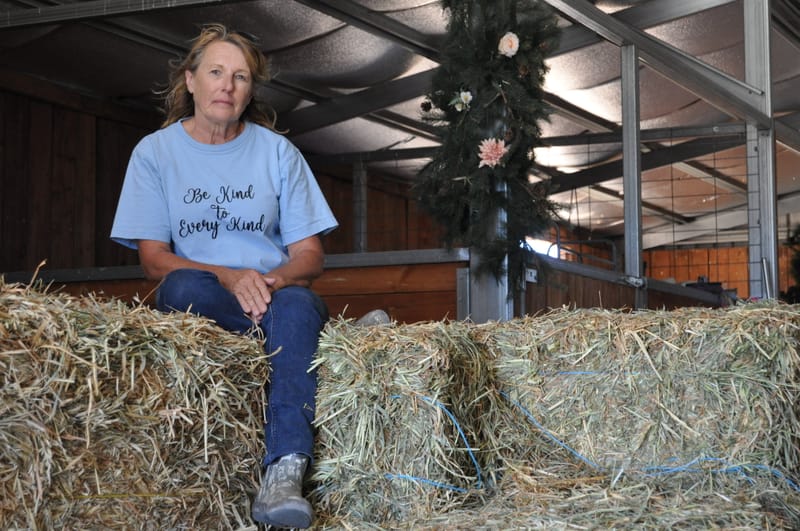 ‘Growing rocks’ Dry times hit Freedom Hill sanctuary post image