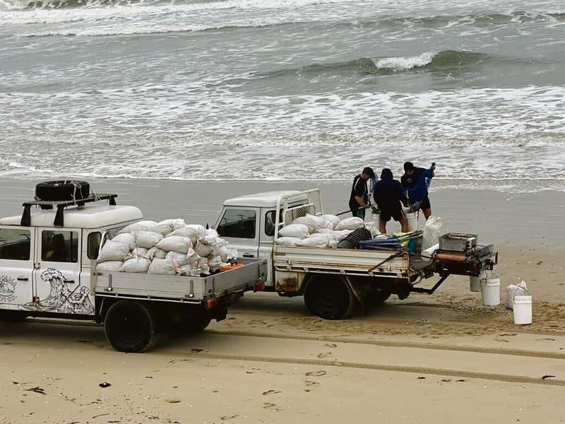 ‘Unbelievable’ boom in pipis post image