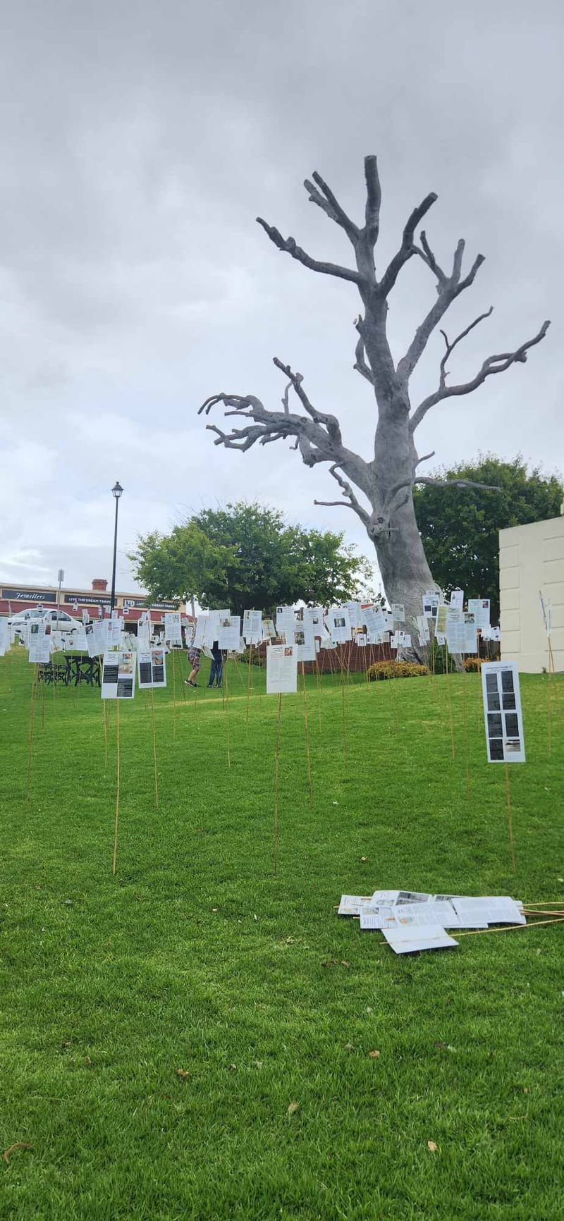 ‘Forest of the Fallen’ display erected at Memorial Gardens post image