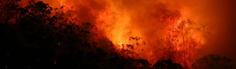 Alexandrina Council commits to bushfire safety and awareness post image