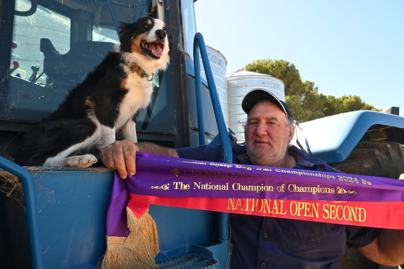 Cross and Lady our Champion of Champions post image