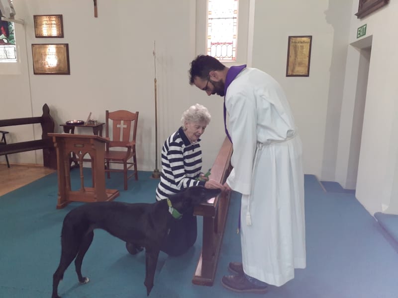 Meet Strathalbyn’s four-legged friend post image