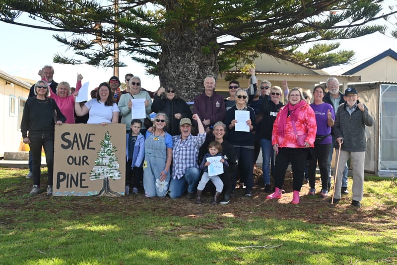 ‘Power to the people’ in saving Milang tree post image
