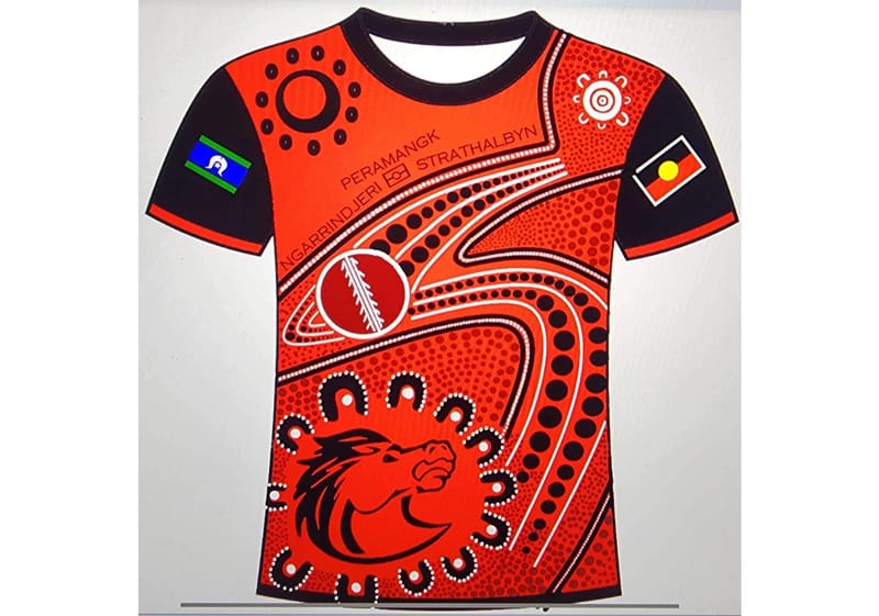 Strathalbyn Cricket Club unveils new indigenous design post image