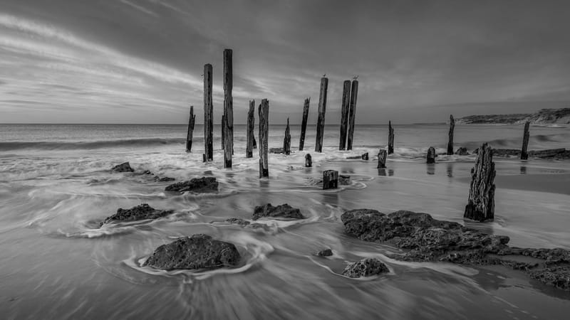 South Coast Camera Club gets 2023 under way with big turn out post image