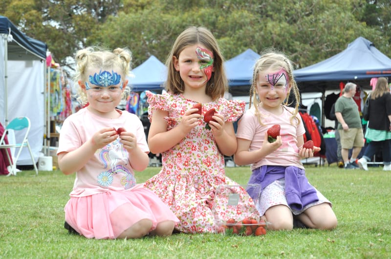 Berry good time at the Macclesfield Strawberry Fete post image